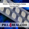 Wofür Wird Kamagra-Gelee Verwendet 08